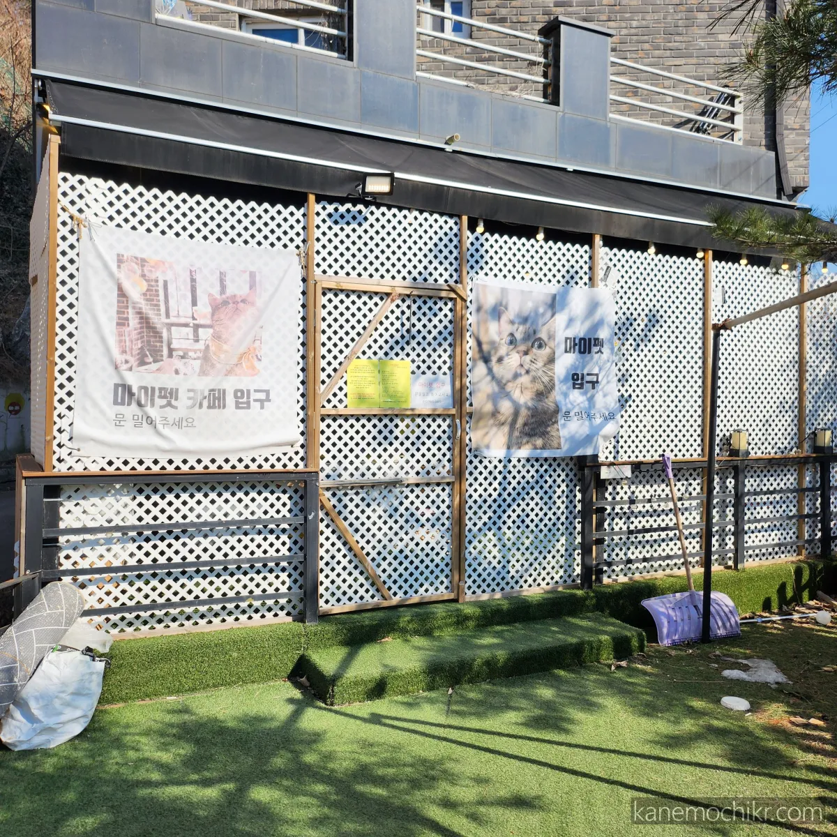 경기광주-마이펫-고양이카페