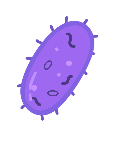 학교 급식실 트레이&middot;식판 미생물과 집단 식사 공간에서 형성되는 순환 생태계