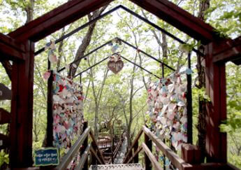 팔공산 케이블카 요금 및 운행시간