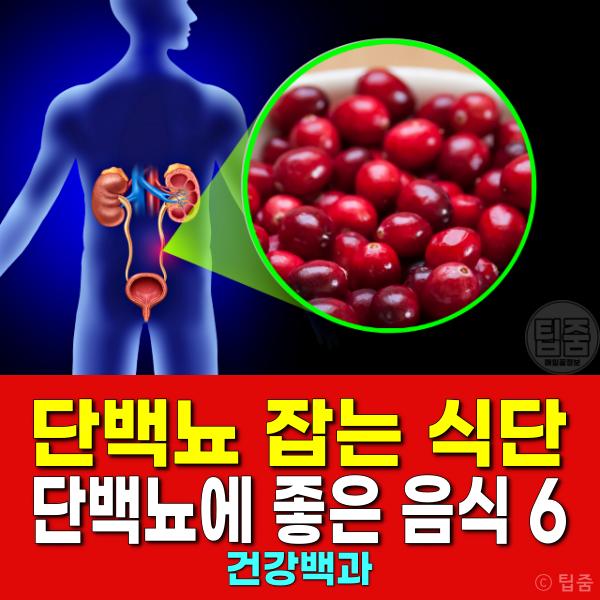 단백뇨 좋은 음식 추천