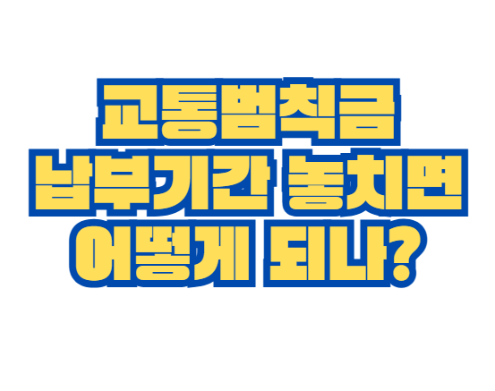 교통범칙금