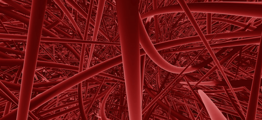 톳 효능은 혈관 질환에 도움이 된다 혈관을 현미경으로 확대한 모습