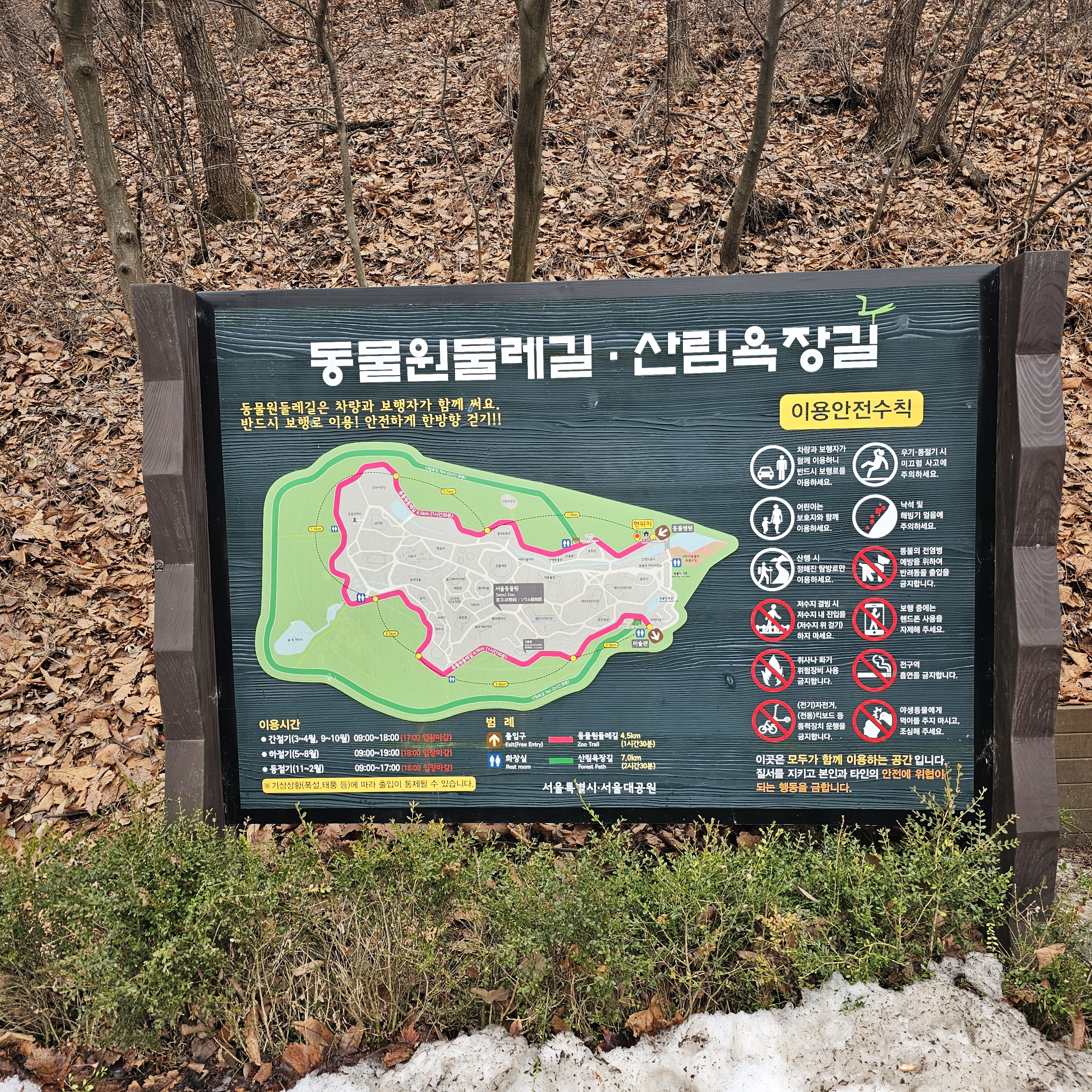 과천 서울대공원 둘레길 탐방 후기