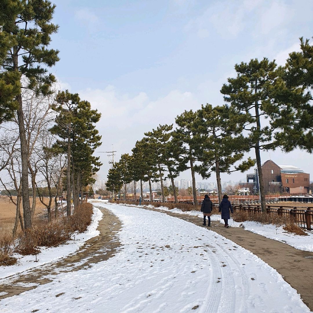 인천 남동구 반려견 겨울 나들이 명소, 강아지와 함께 걷기 좋은 산책 코스