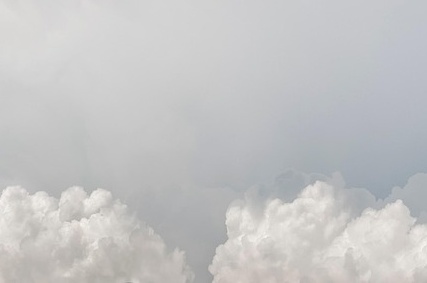 국민비서 소비쿠폰