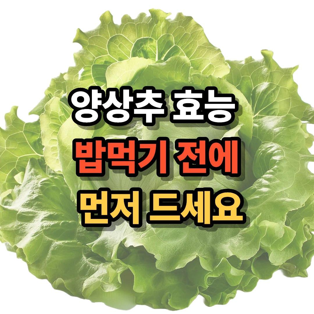 양상추 효능&nbsp;
밥먹기 전에
&nbsp;먼저 드세요