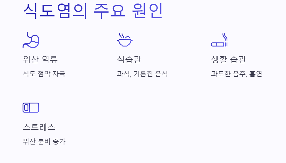 식도염 원인 관련 이미지