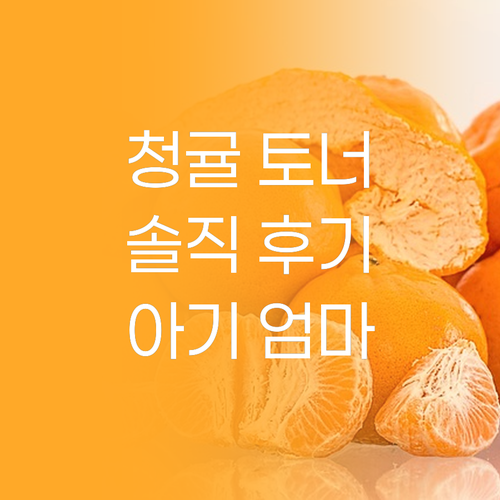 베르가모 청귤 토너 써보니! 6개월 