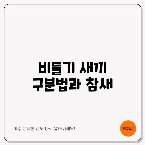 비둘기 새끼 구분법과 참새, 숨은 이유