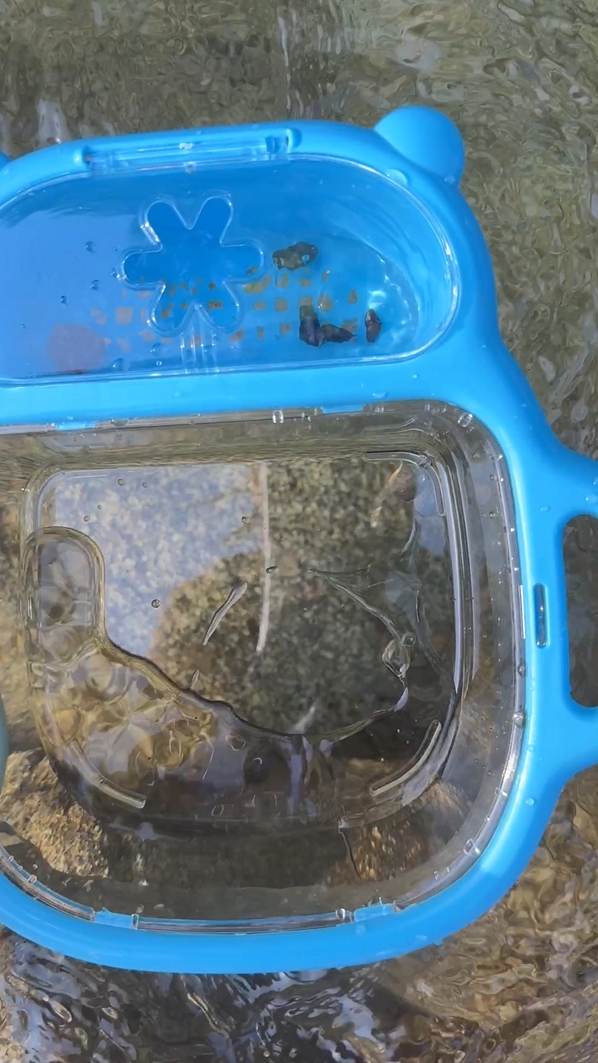 계곡 물놀이 준비물_다슬기채집통