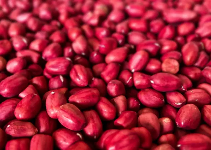 동지팥죽 먹는이유