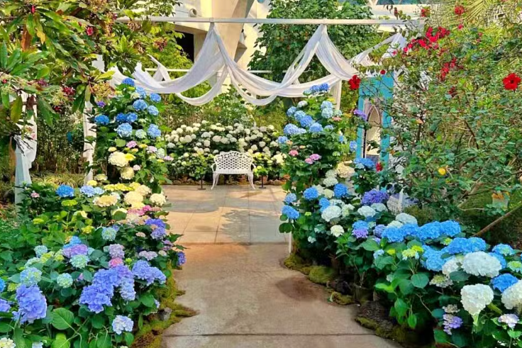 수도권 수국명소 추천 7곳, 도심 속에서 만나는 수국의 향연