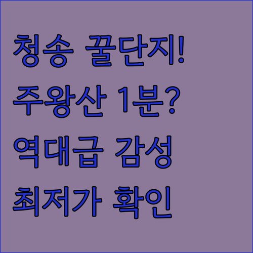 청송 꿀단지펜션 주왕산 근처 위치 장..