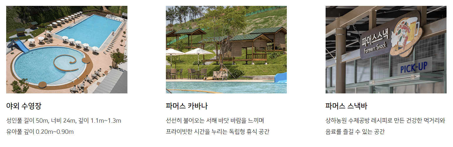 상하농원 야외수영장 사진