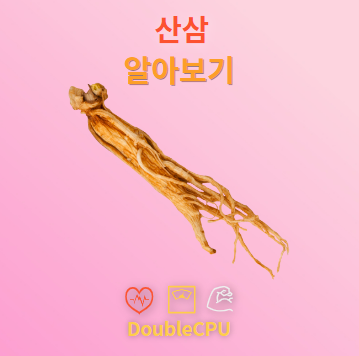 산삼 탐구