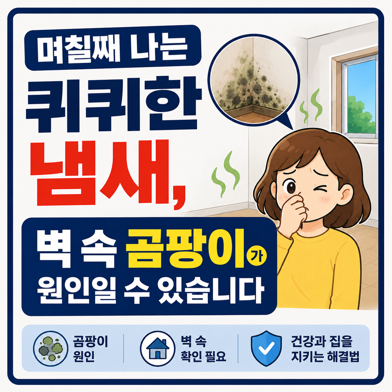 벽 속 곰팡이가 원인