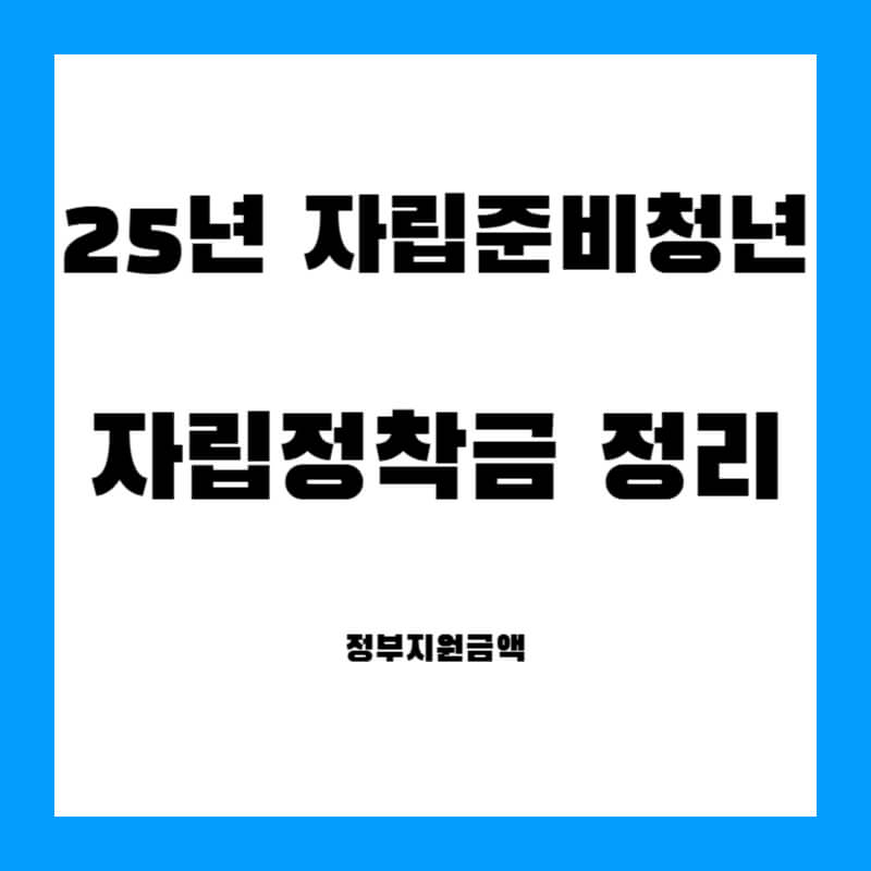 자립준비청년 자립정착금