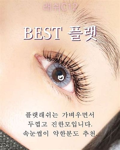속눈썹 창업