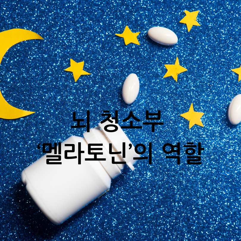 멜라토닌과 치매의 연관성
