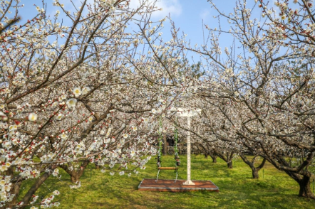 휴애리자연생활공원1