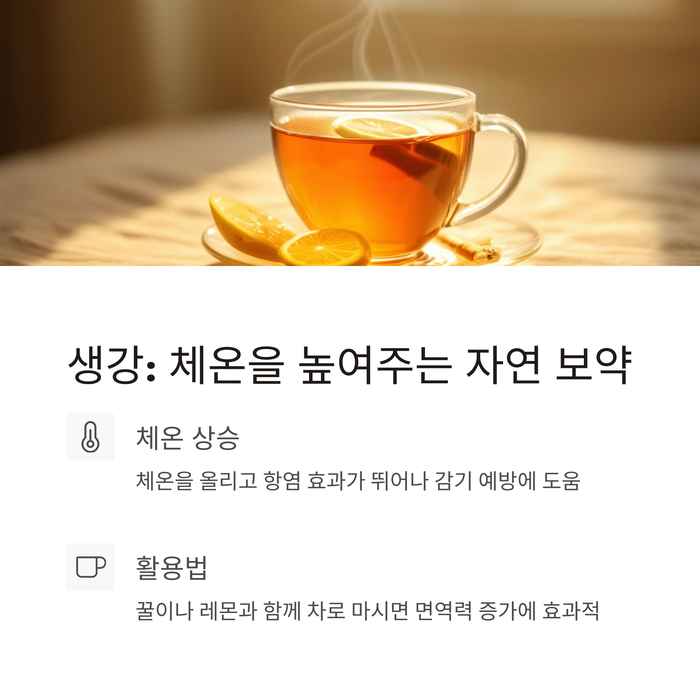 건강 의료