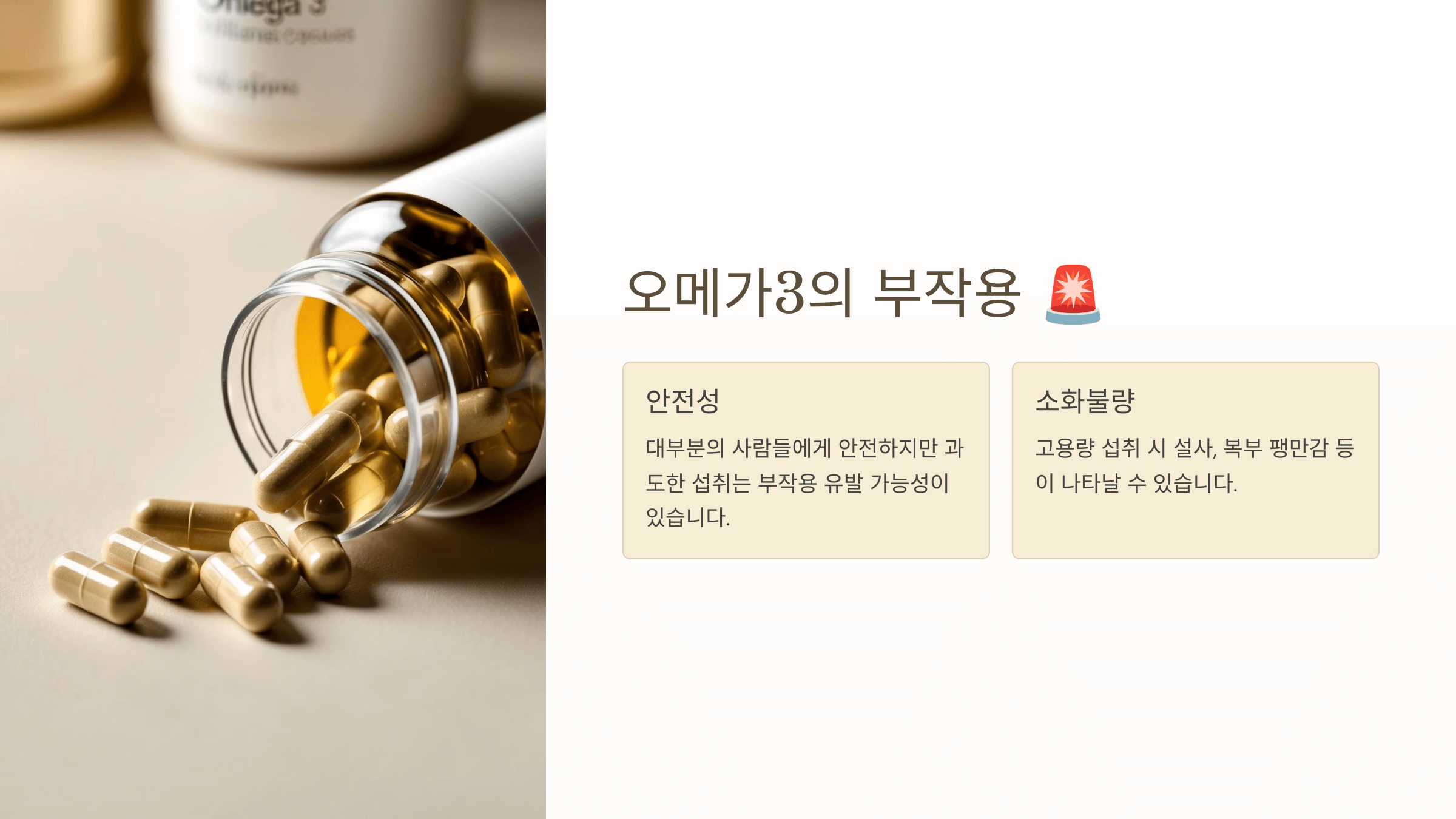 오메가3와 관련된 사진입니다.