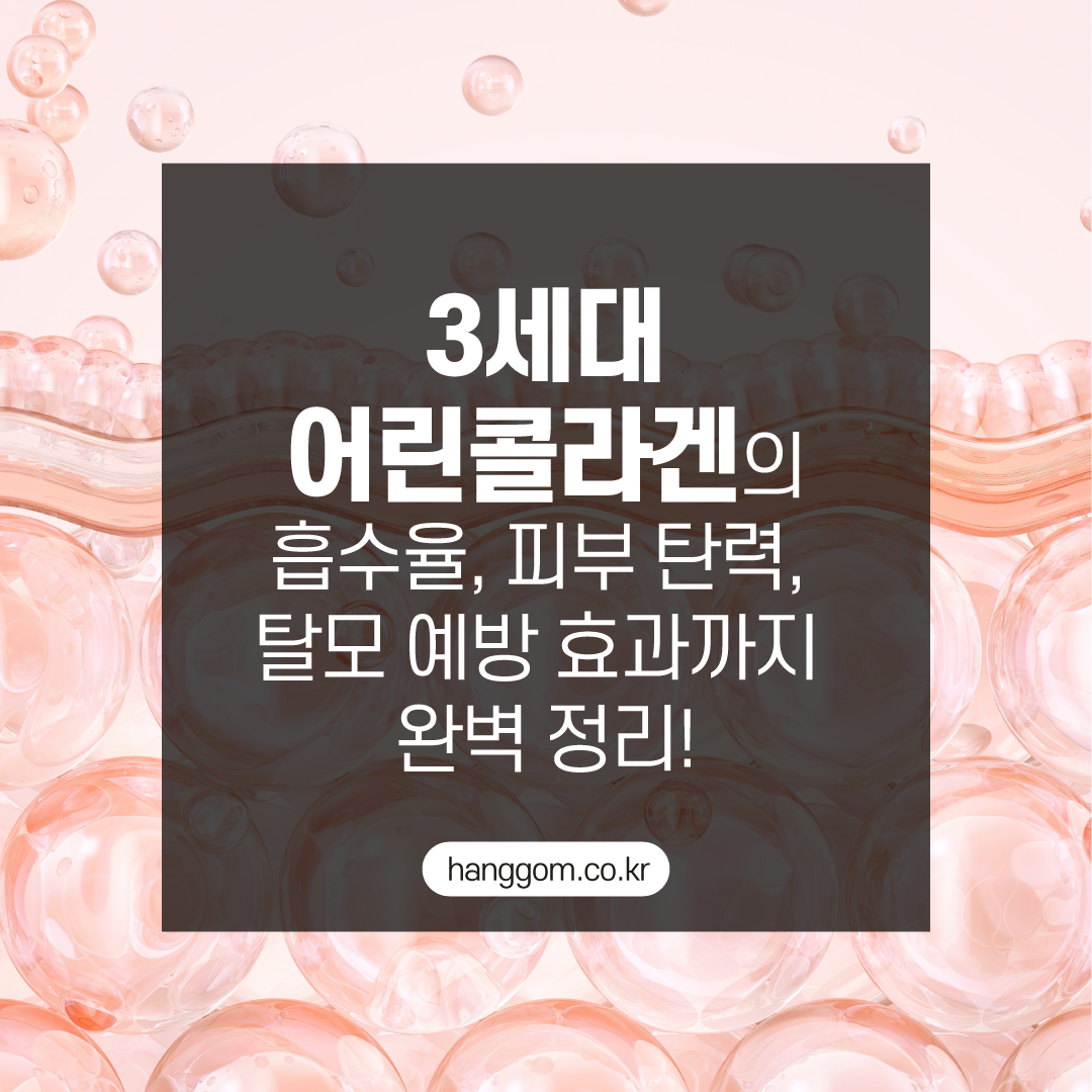 3세대 어린콜라겐의 흡수율, 피부 탄력, 탈모 예방 효과까지 완벽 정리!