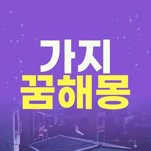 가지 꿈해몽