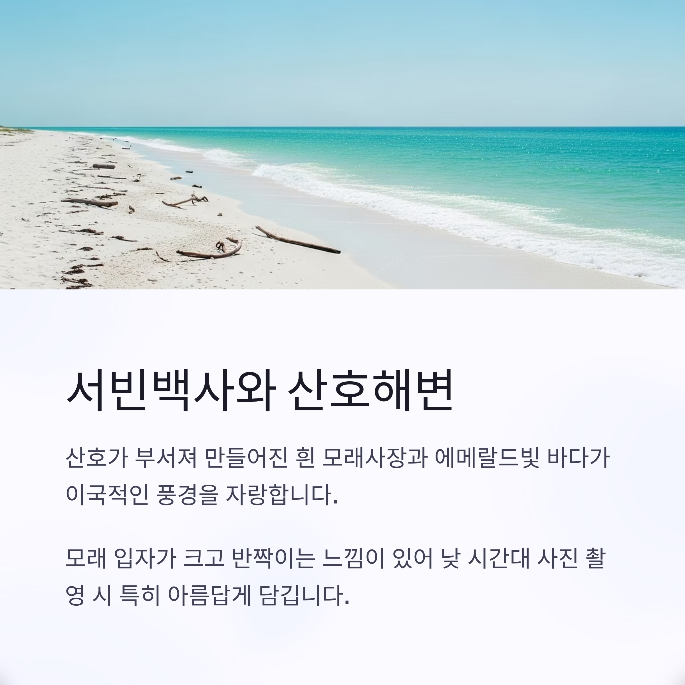 서빈백사와 산호해변