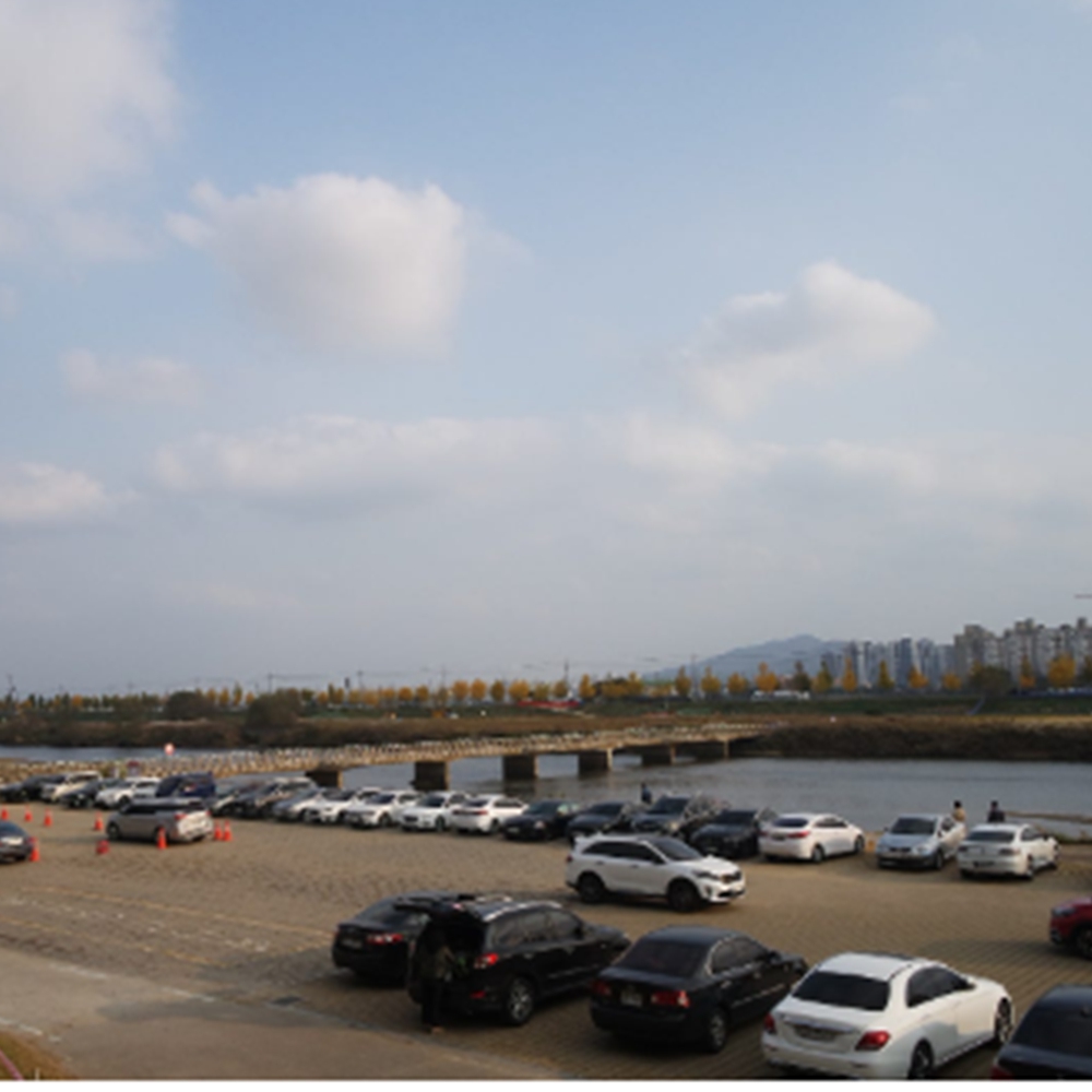 아산 곡교천 은행나무길