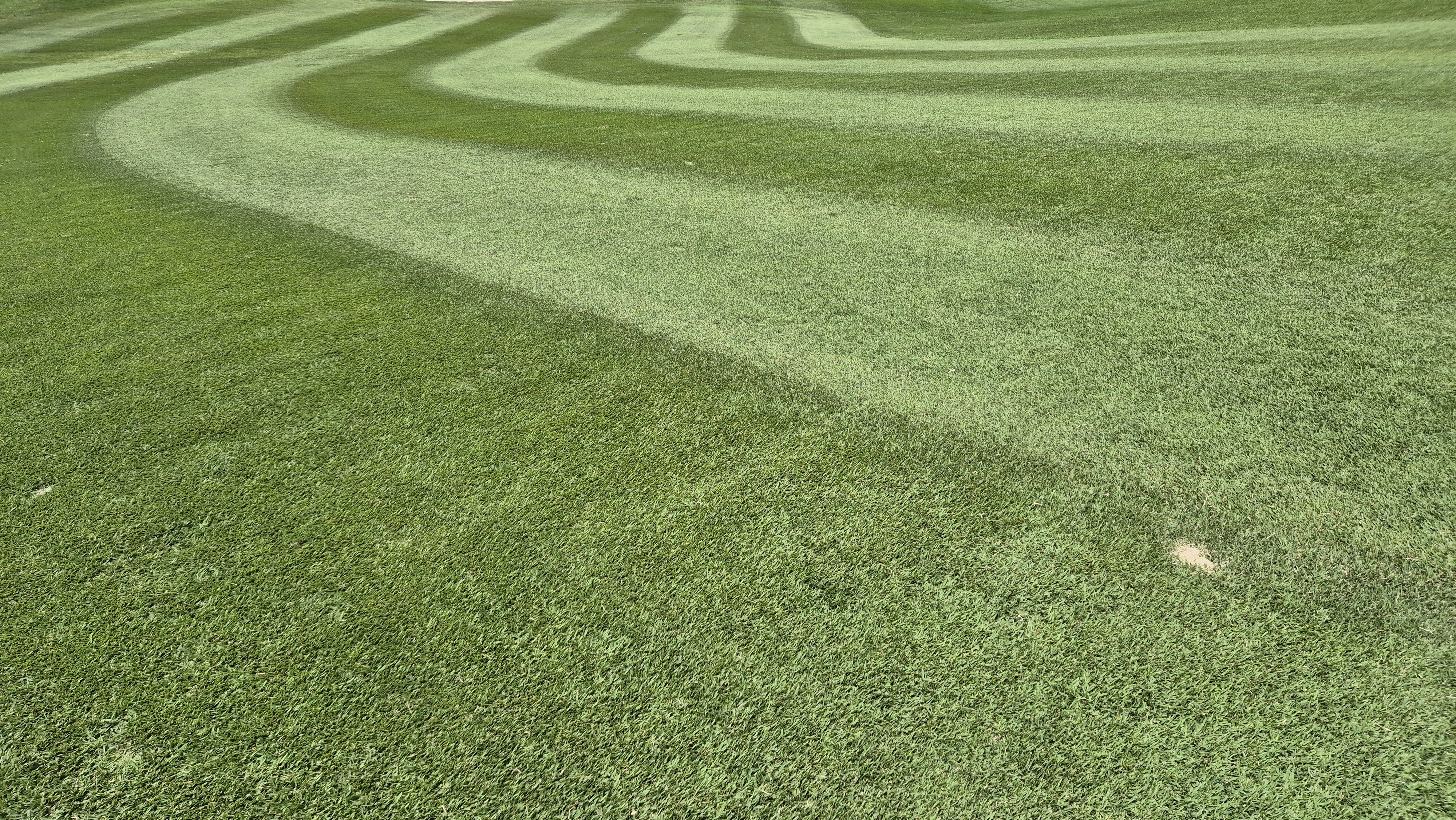 한성cc 오렌지-그린 코스 라운드 후기