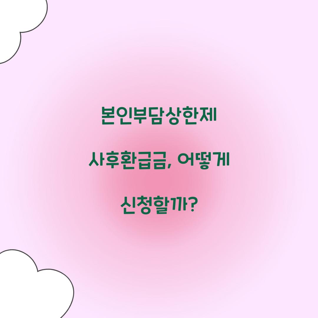 본인부담상한제 사후환급금