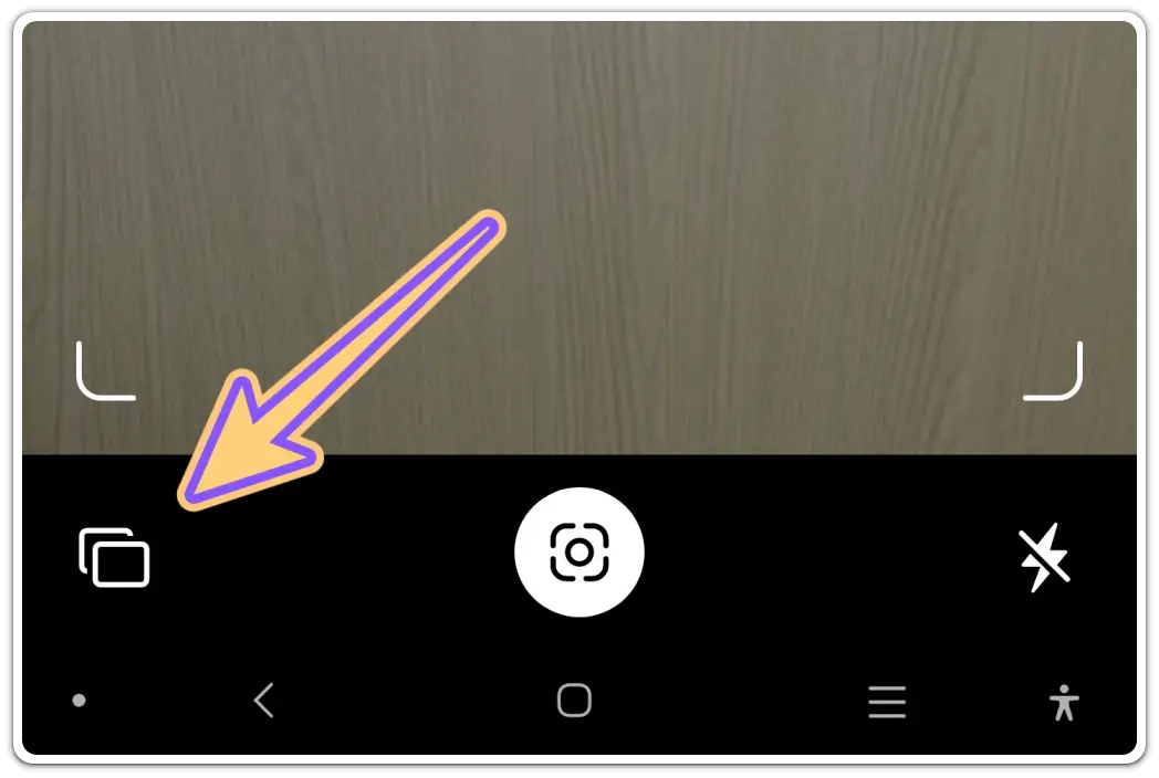 꽃-이름-검색-찾기-방법