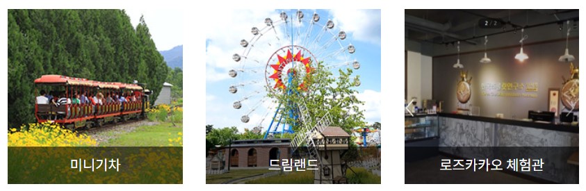 곡성장미축제 주차장