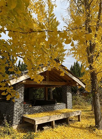 반려동물과 함께하는 가을 정원 여행지 추천 : 한국수목원정원관리원 선정 BEST 5