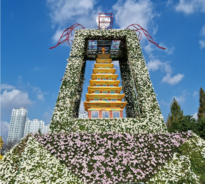 익산 천만송이 국화축제1