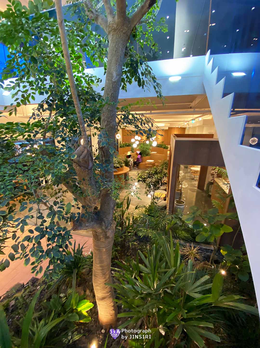 ๊นํฌ์์ด ๋ฒ ์ด์ปค๋ฆฌ ๋ํ์นดํ ๊ทธ๋ฆฐ๋ธ๋ญ ์์ธ๊ทผ๊ต ๋๋ผ์ด๋ธ ๋นต์ง