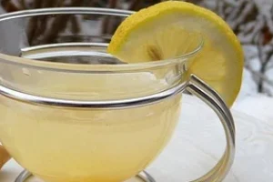 반려동물 행동교정사 자격증