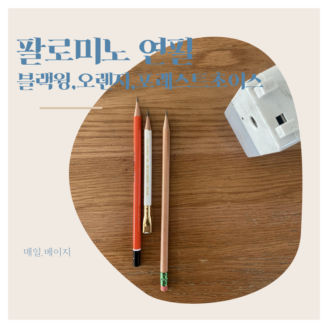 팔로미노블랙윙