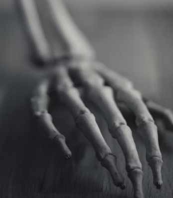 콘드로이친 효능 복용법 시간 부작용