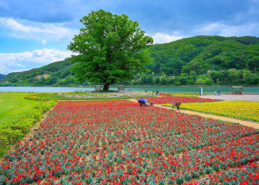 거례리 산천어파크골프장 (화천산천어파크골프장)