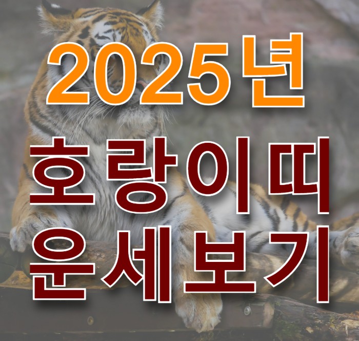호랑이 사진에 2025년 호랑이띠 운세보기 문구