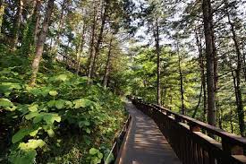 대전 가볼 만한 곳