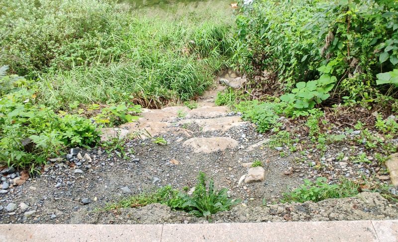 산책로에서 송계계곡으로 내려가는 계단 조금 높아 아이들은 손을 잡고 내려가야함