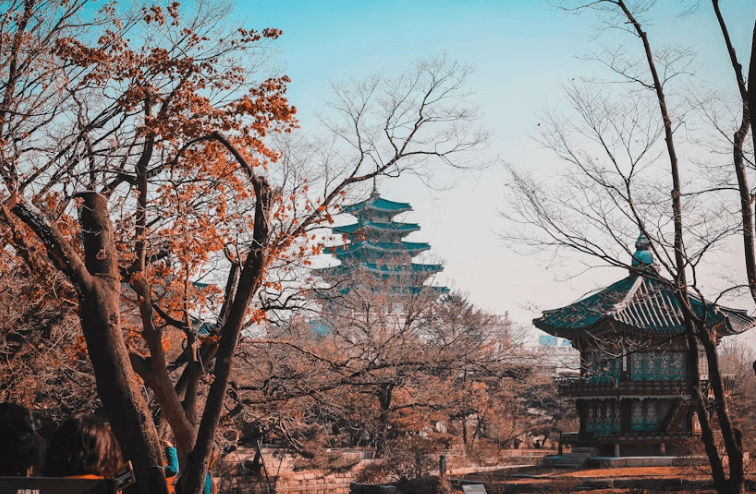 제21대 대선 재외국민 투표