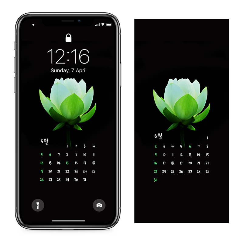 12 백련 검정배경 AB - 2024년5월 아이폰달력배경화면