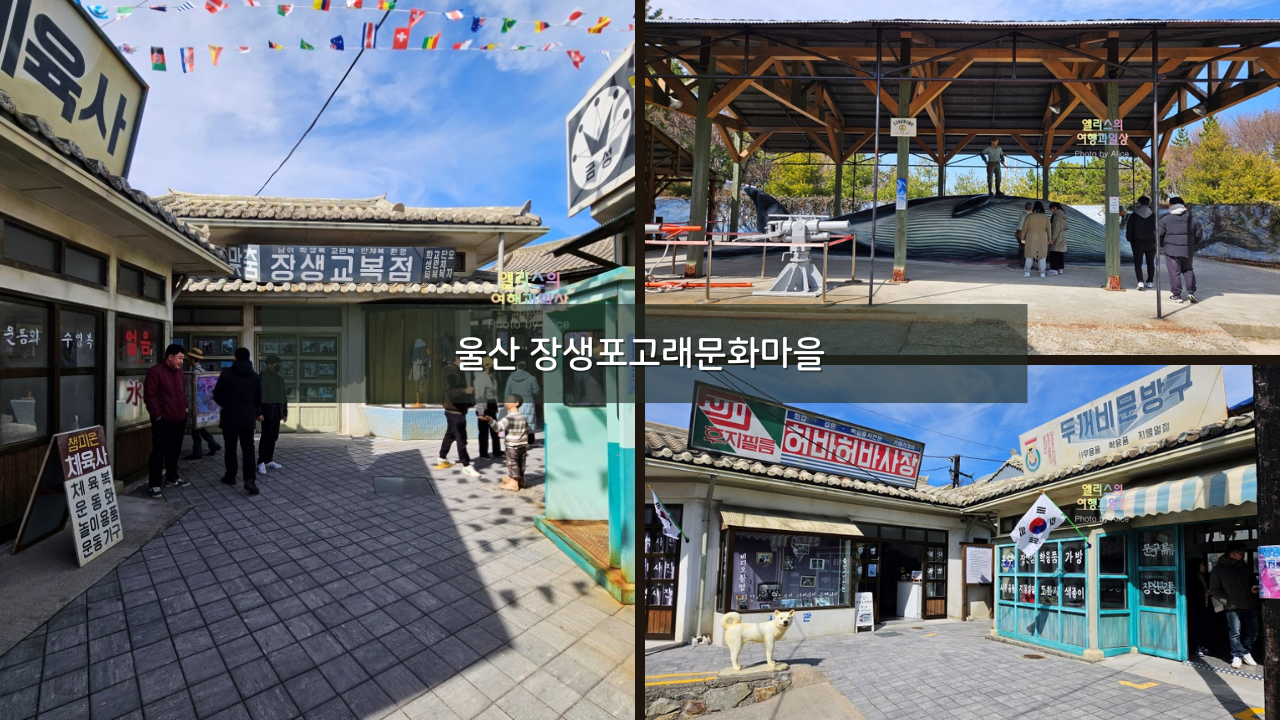 울산여행 가볼만한곳, 장생포고래문화마을 볼거리 체험 마을