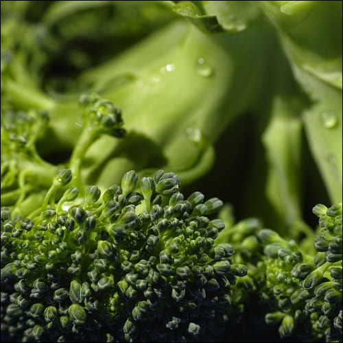 신선한 브로콜리