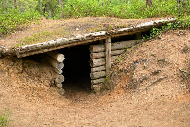 바람막이 숲 울타리 직접 만들어보기