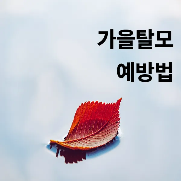 가을탈모예방법